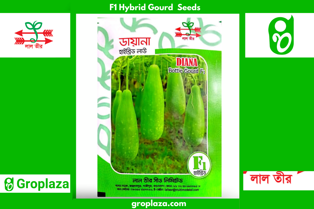 হাইব্রিড লাউ বীজ ডায়না । F1 Hybrid Gourd Seed Diana_img_0