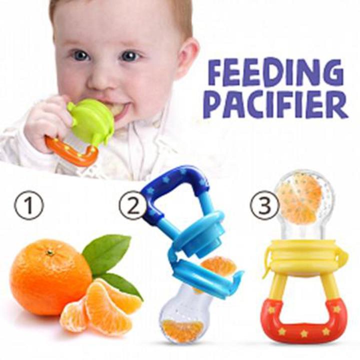 Fruit Pacifier_img_1
