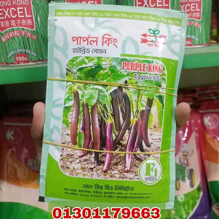 হাইব্রিড বেগুন পার্পল কিং। Purple King Eggplant F1_img_0