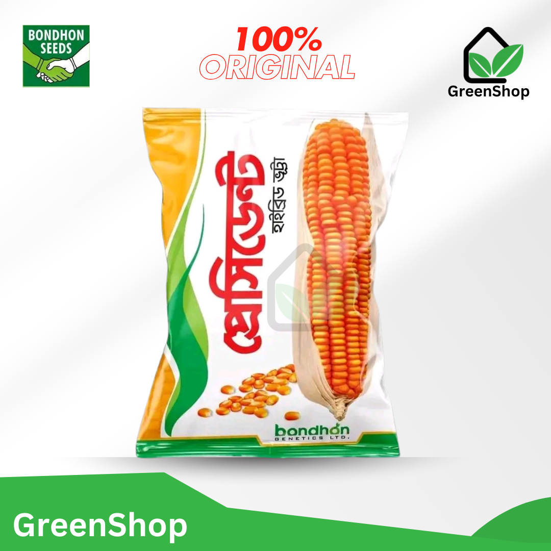 হাইব্রিড ভুট্টার বীজ প্রেসিডেন্ট । Hybrid Corn seeds president