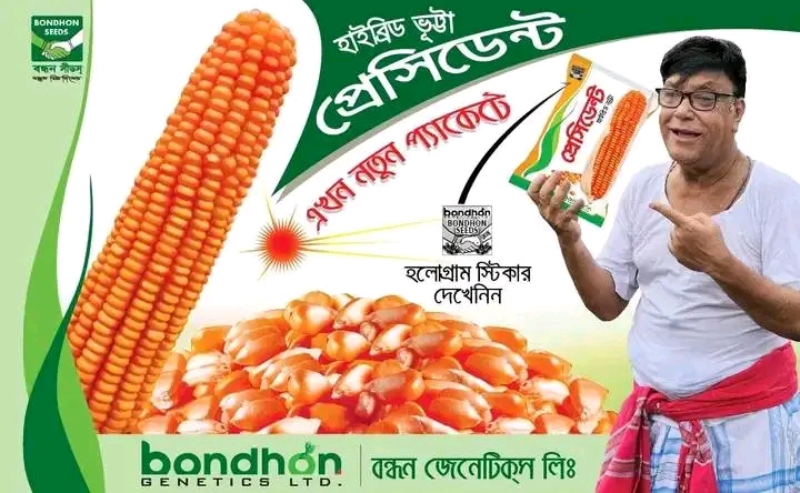 হাইব্রিড ভুট্টার বীজ প্রেসিডেন্ট । Hybrid Corn seeds president_img_1