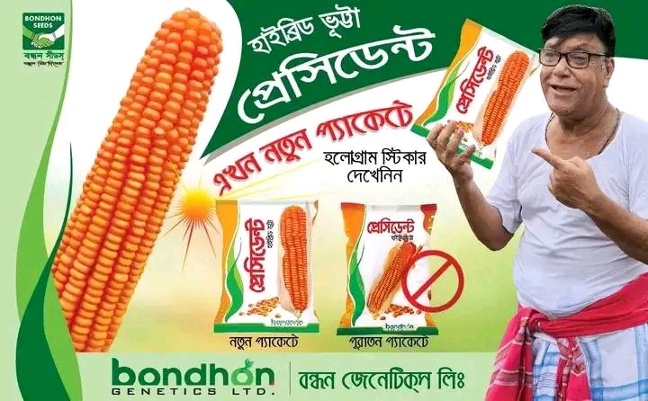 হাইব্রিড ভুট্টার বীজ প্রেসিডেন্ট । Hybrid Corn seeds president_img_2