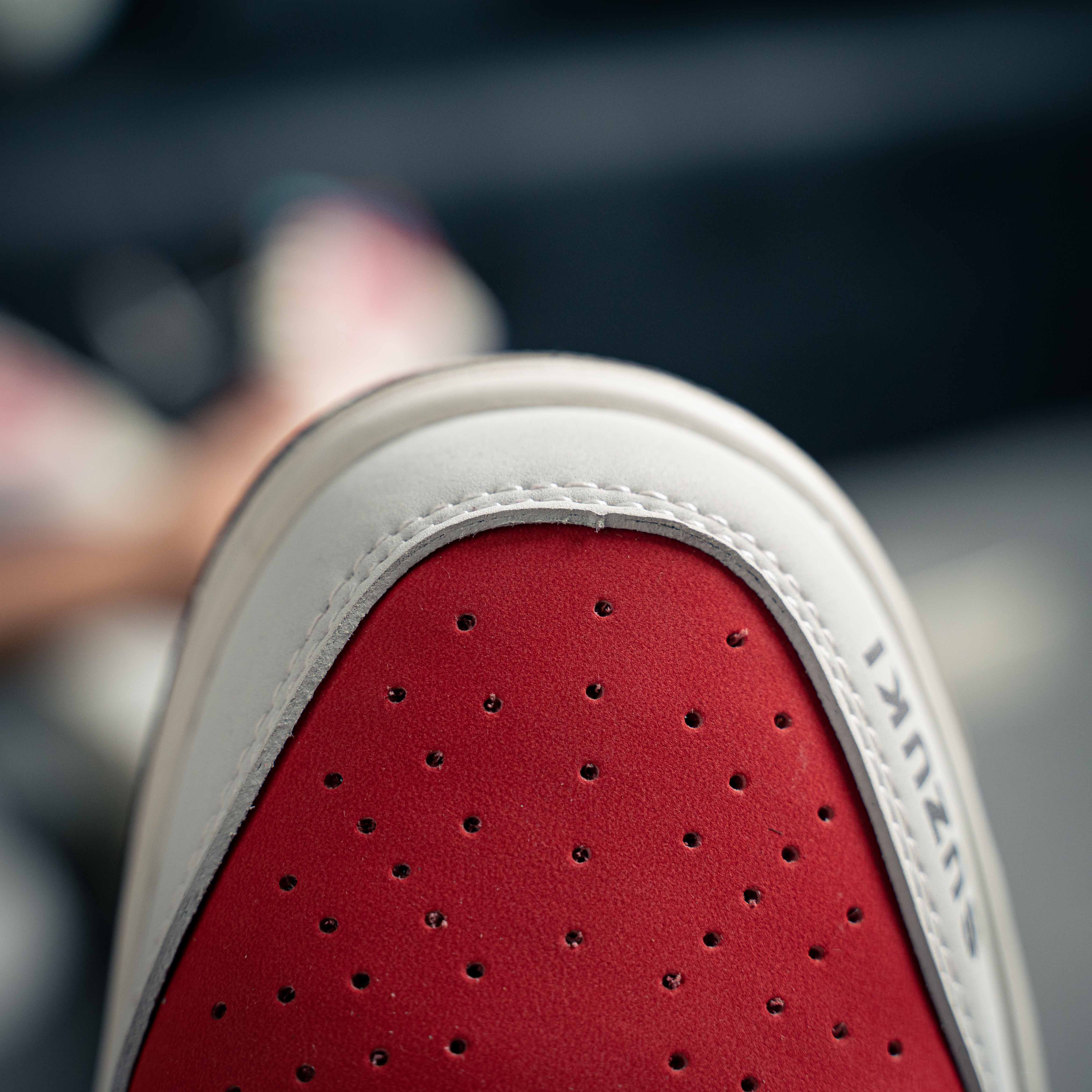 Nike SB Dunk Low Suzuki RG500 (1:1)_img_7