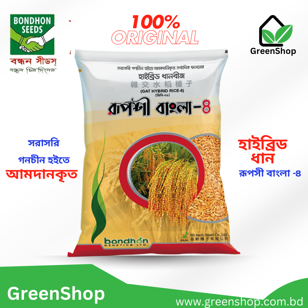 হাইব্রিড মোটা ধান বীজ রূপশী বাংলা - ৪_img_1