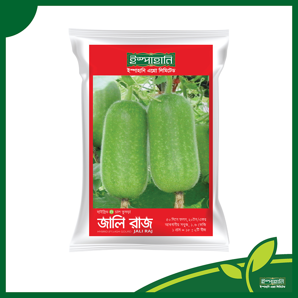 হাইব্রিড চালকুমড় বীজা জালিরাজ । Hybrid (F1) Ash Gourd Seeds Jali Raj_img_0