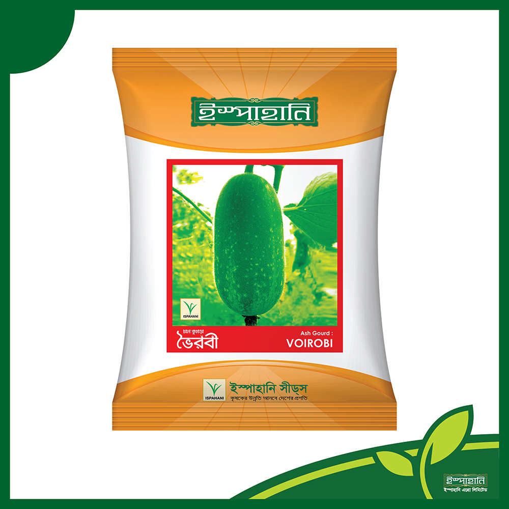 দেশি ওপি চাল কুমড়া বীজ ভৈরবী । OP Ash Gourd Seeds Voyrobi_img_0