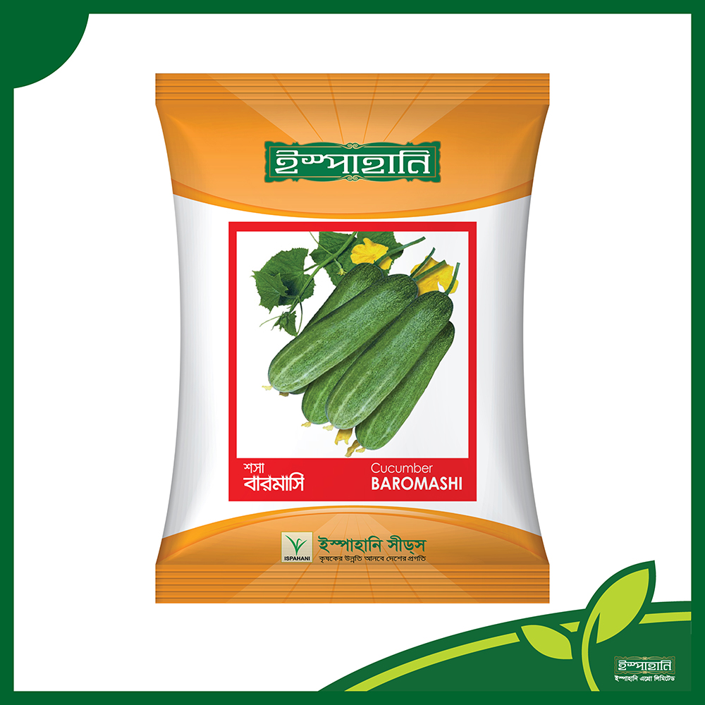 বারোমাসি শশার বীজ । Baromashi Cucumber seeds_img_0