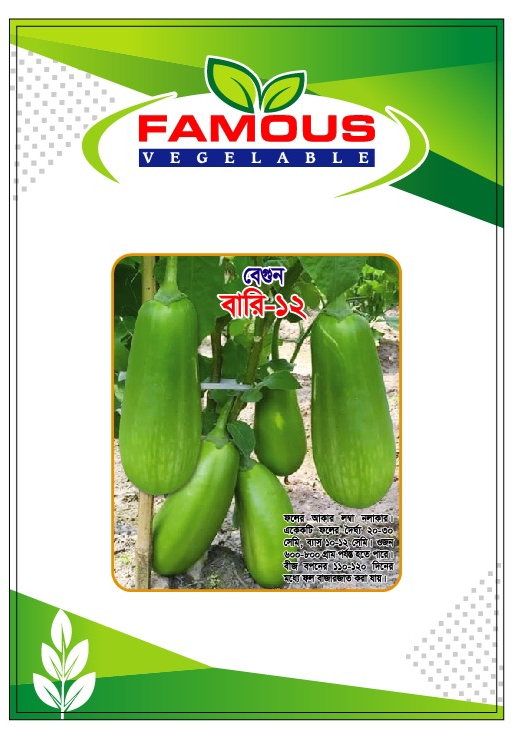 কেজি বেগুন / বারি বেগুন ১২ । Bari begun baro / kg begun_img_1