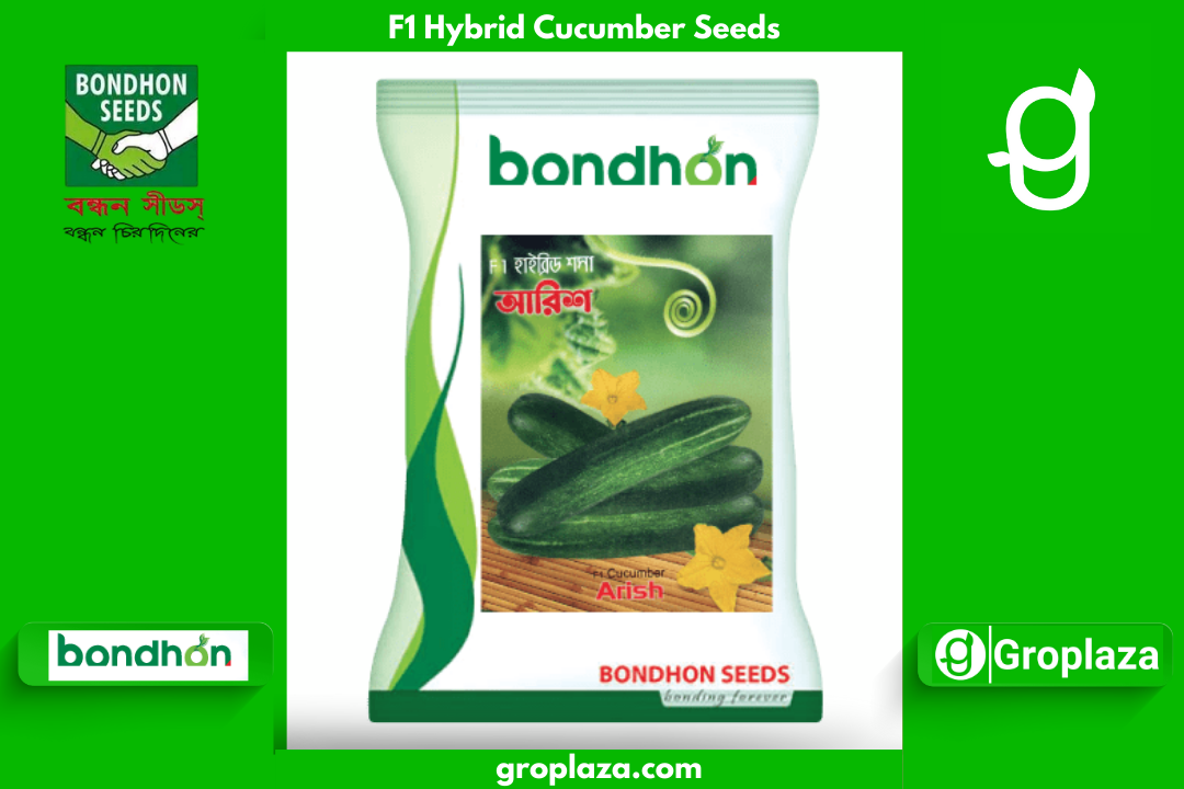 হাইব্রিড শসা-আরিশ । F1 Hybrid Cucumber Seeds Arish