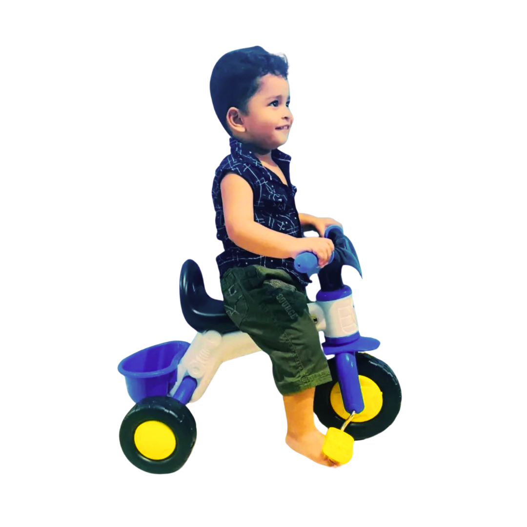 RFL রয়েল বাইক।_img_3