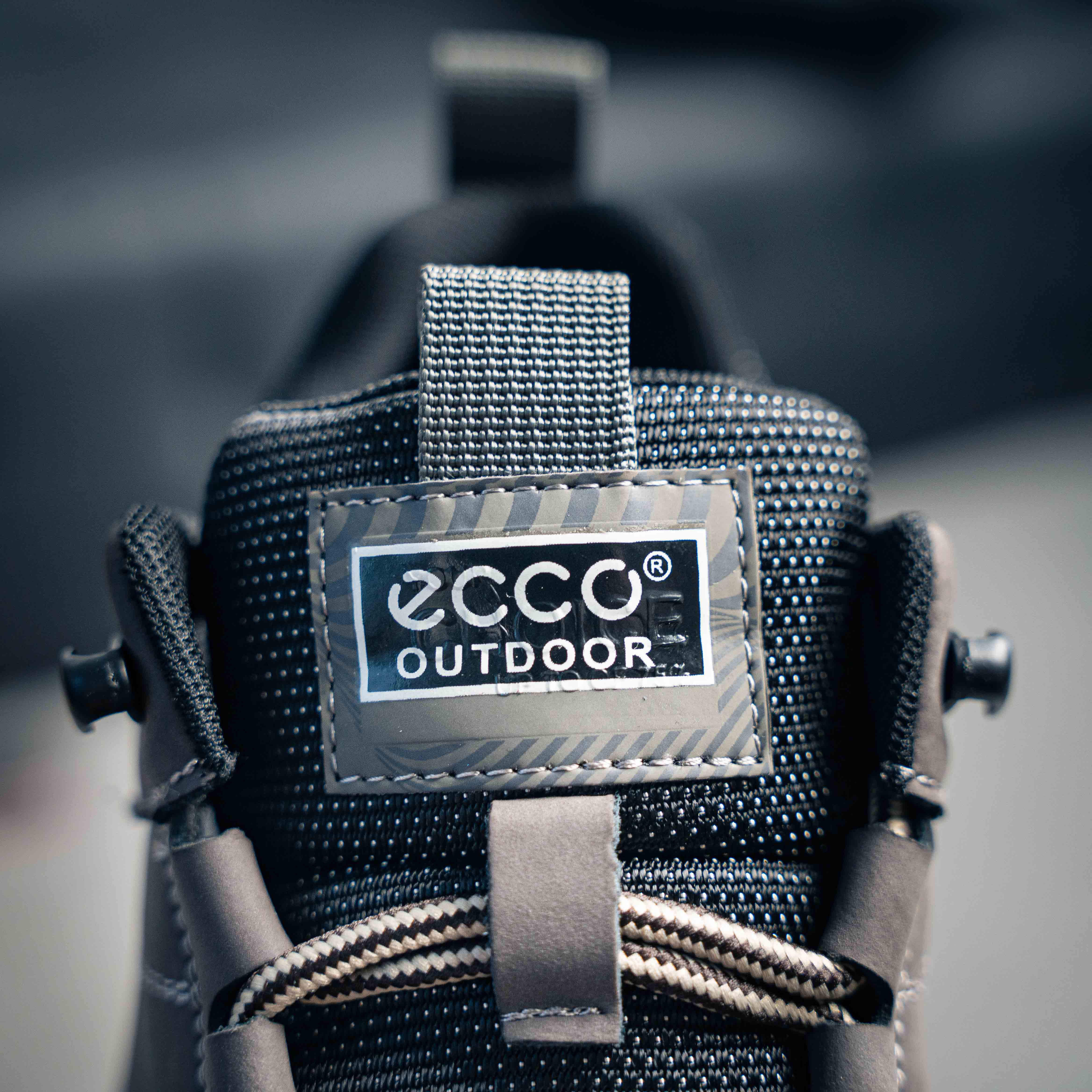 Ecco MX Track shoes (1:1)_img_5