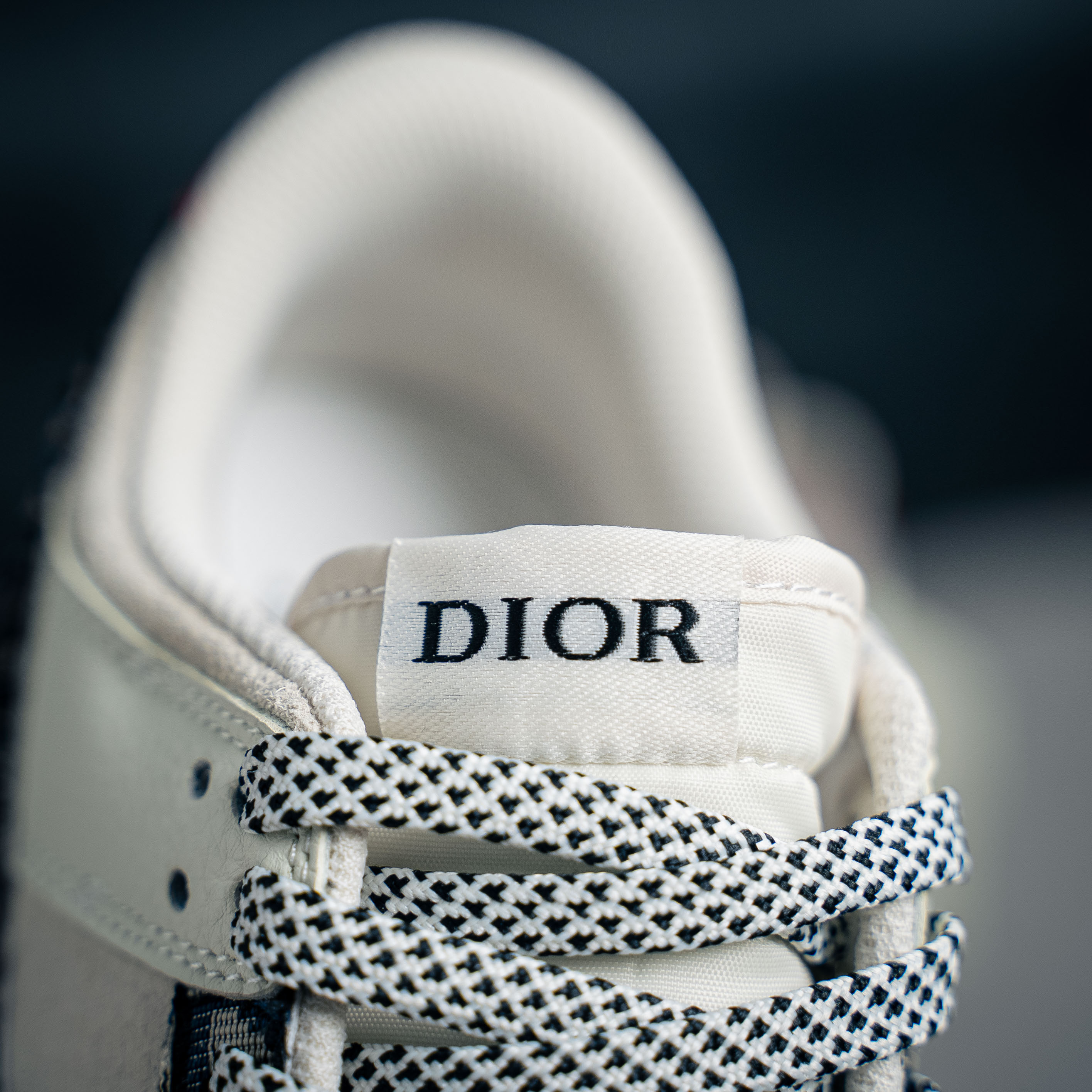 Nike SB Dunk Low Dior (1:1)_img_5