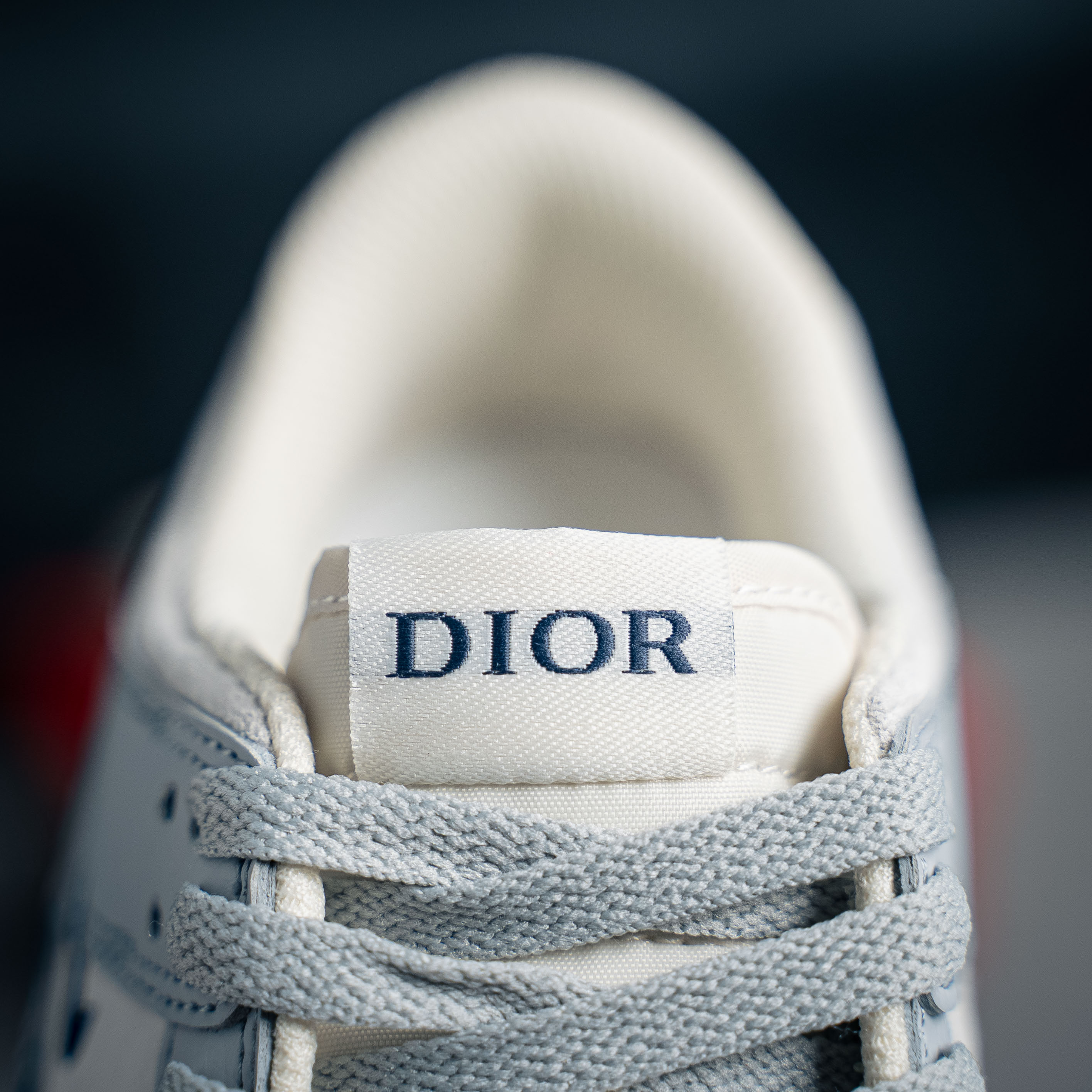 Nike SB Dunk Low Dior (1:1)_img_5