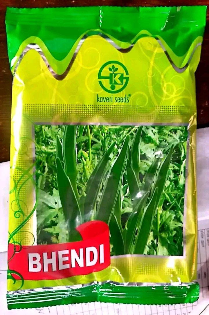 রিচার্জ ঢেঁড়স / ভেন্ডি কাবেরী ৫৪ । Research variety okra/ Bhendi seeds Kaveri 54_img_0