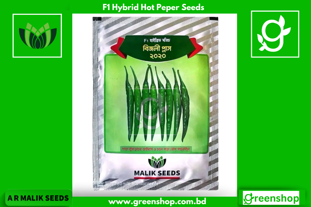 হাইব্রিড মরিচ- বিজলী প্লাস ২০২০  (Bijlee Plus 2020)_img_0