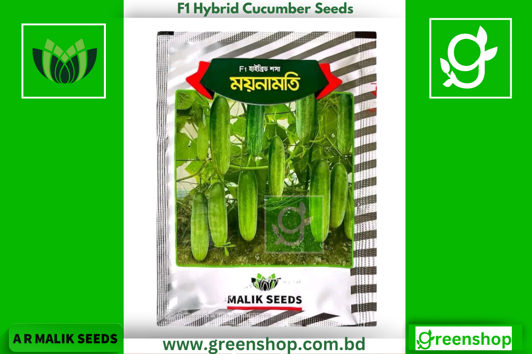 হাইব্রিড শসা বীজ - ময়নামত ।  F1 Hybrid Cucumber Seeds eeds Moynamoti_img_0