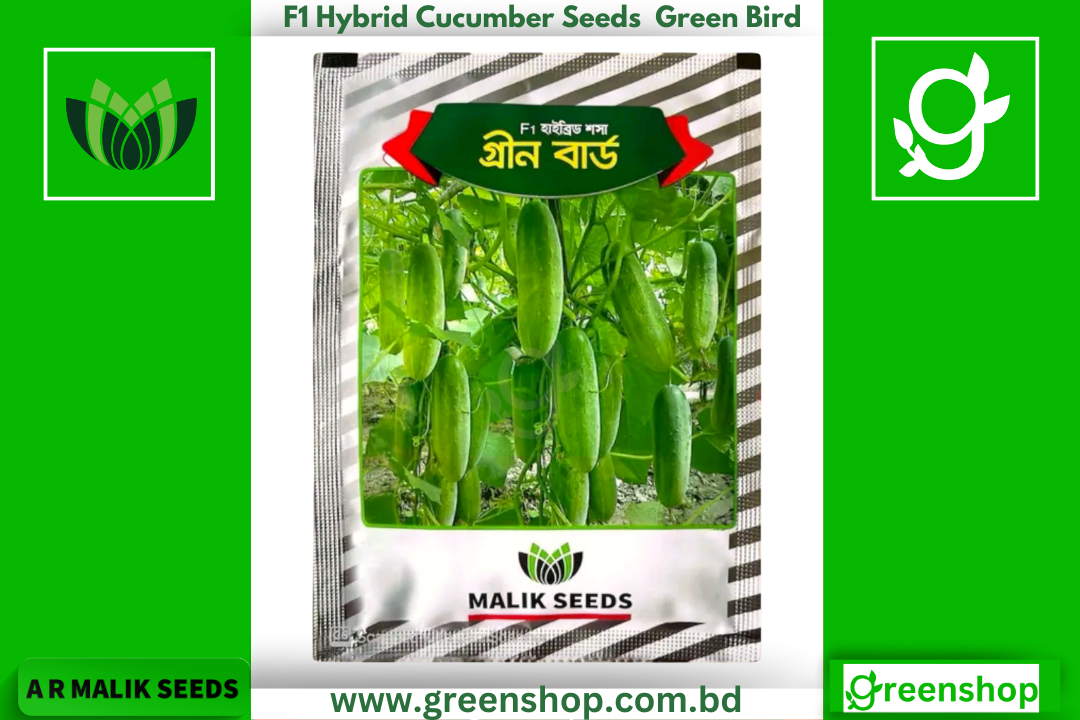 হাইব্রিড শসা বীজ গ্রীন বার্ড। F1 Hybrid Cucumber Seeds Green Bird_img_0