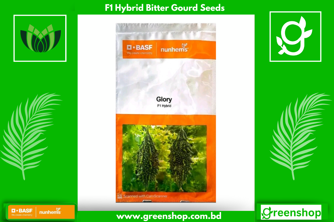 হাইব্রিড করলার বীজ গ্লোরি । F1 Hybrid Bitter Gourd Seeds Glory