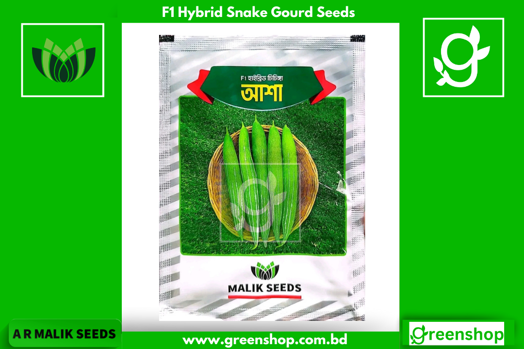 হাইব্রিড চিচিঙ্গা বীজ আশা। F1 Hybrid Snake Gourd Seeds Asha_img_0