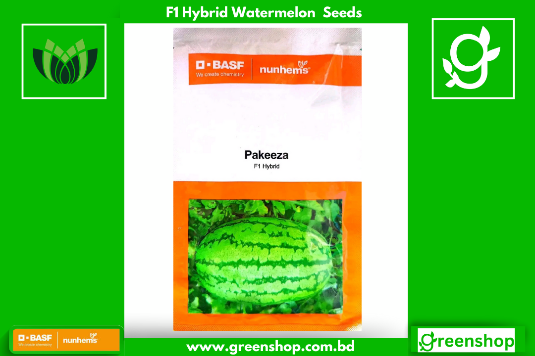ড্রাগন বা ডোরাকাটা / বাংলালিংক  হাইব্রিড তরমুজ পাকিজা । F1 Hybrid dragon watermelon Pakeeza_img_0