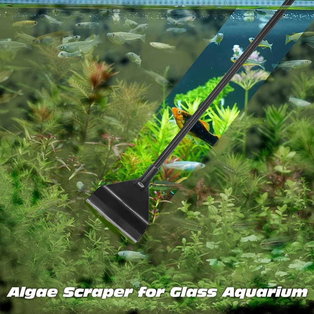 Alage scrapper_img_2