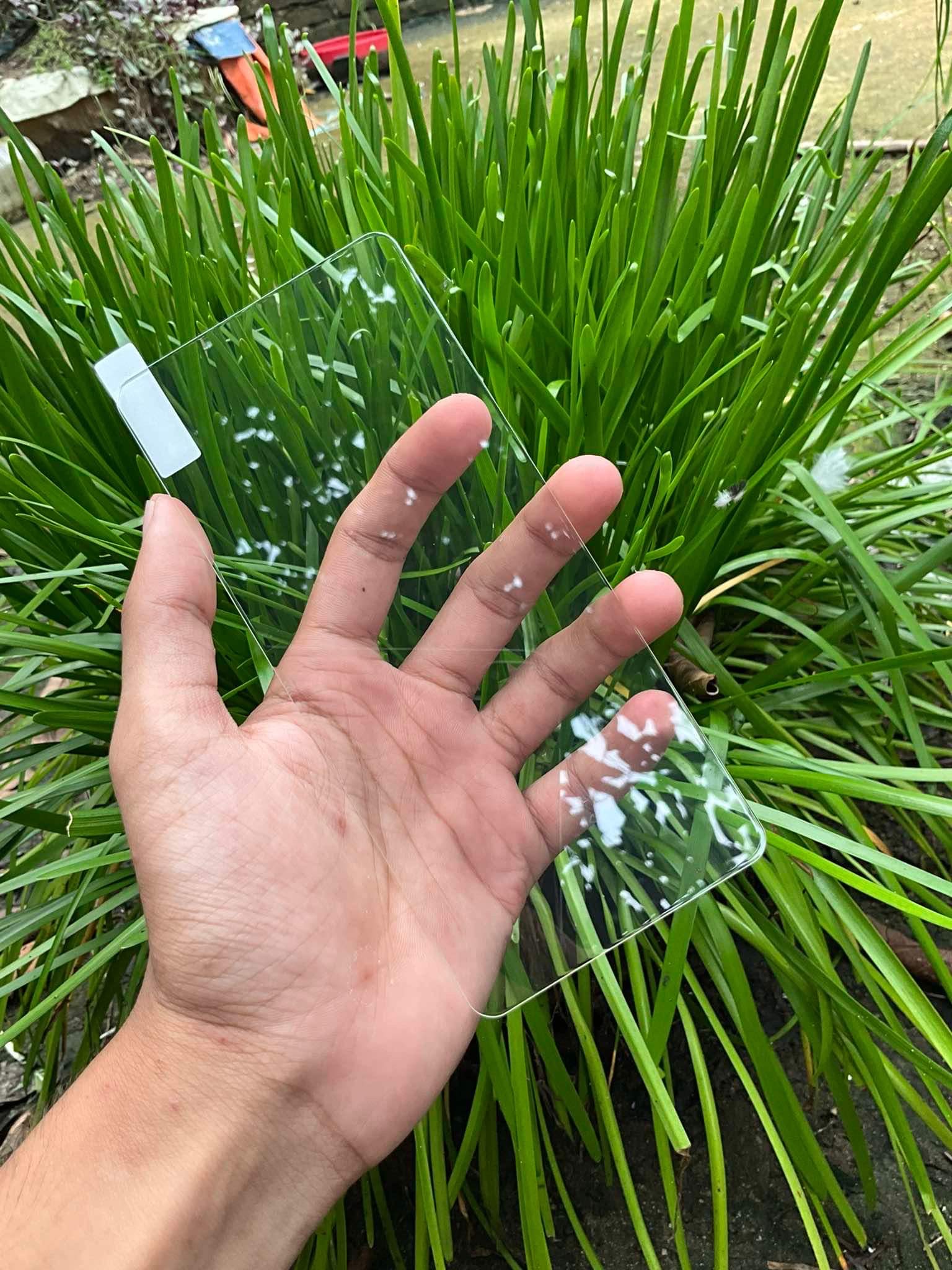 OnePlus ACE5 / OnePlus13R premium 2.5d screen protector_img_1