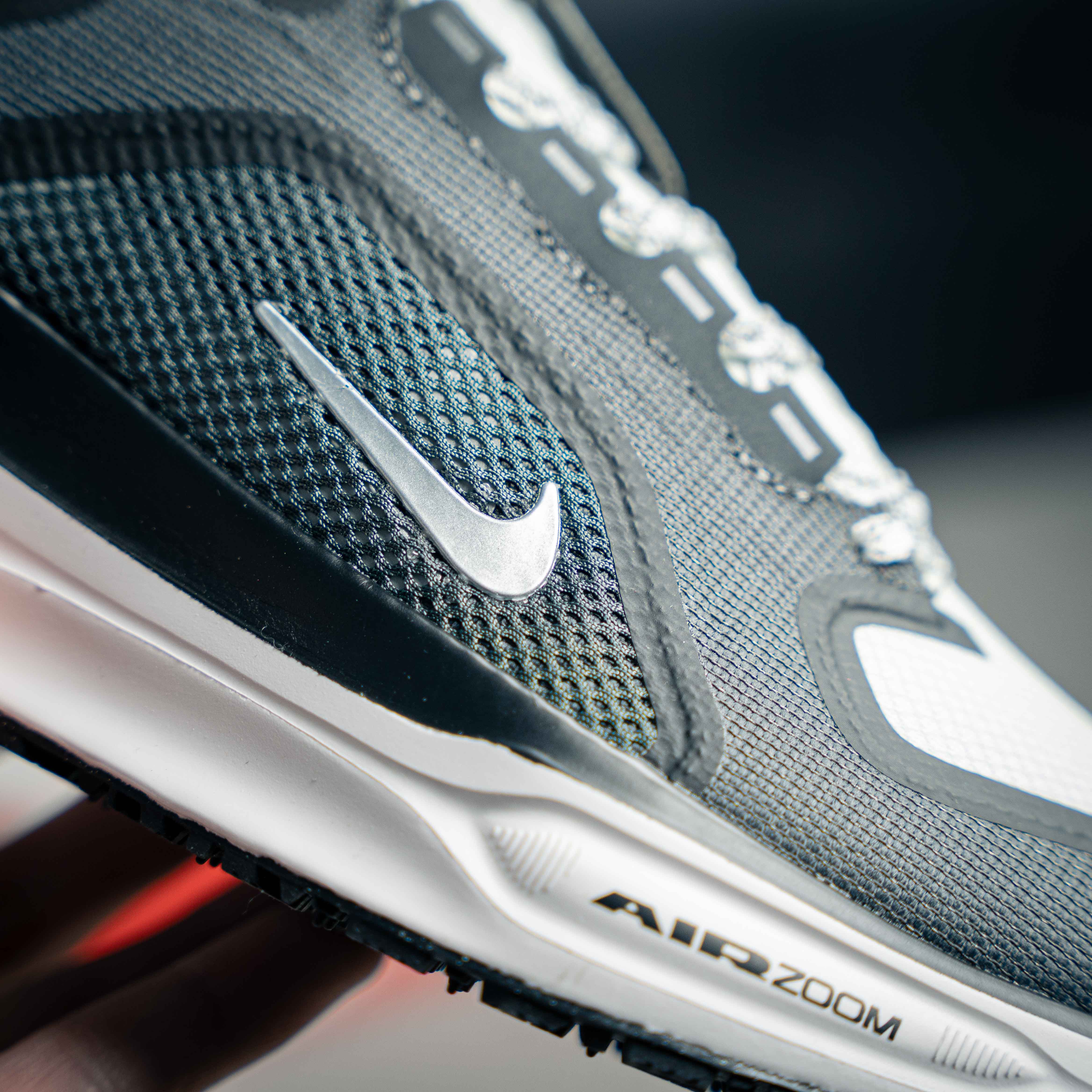 Nike Pegasus 41 GORE-TEX (1:1)_img_2