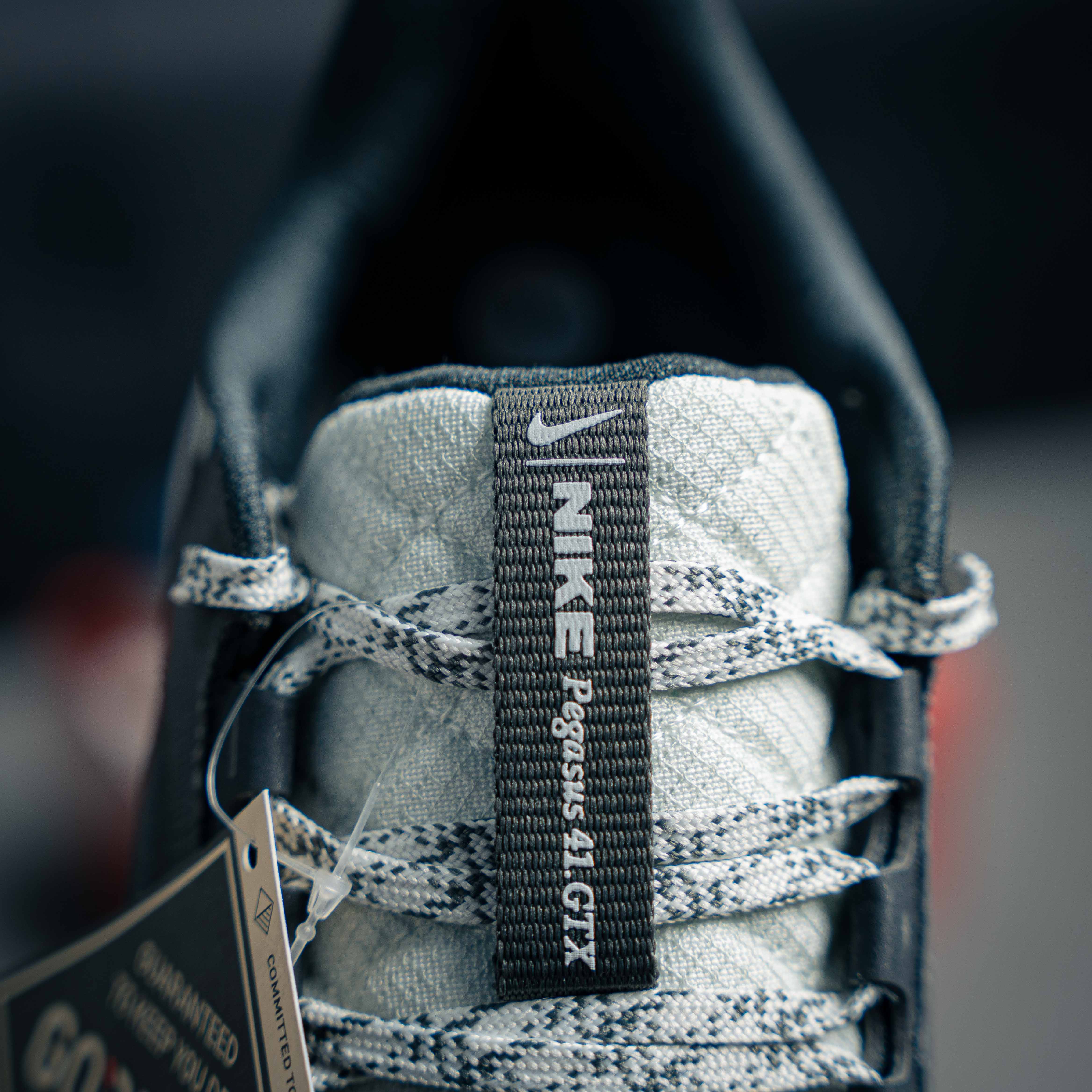 Nike Pegasus 41 GORE-TEX (1:1)_img_5