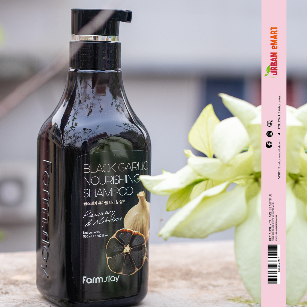 Farm Stay Black Garlic Nourishing Shampoo 530ml_img_5