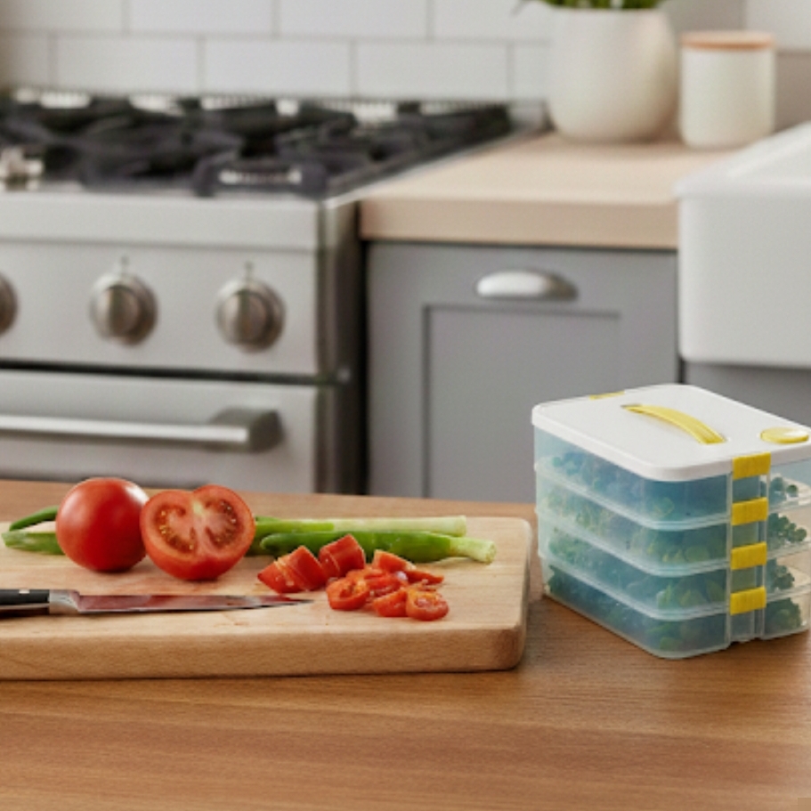 মাল্টি স্টোরেজ ফ্রিজিং বক্স।_img_3