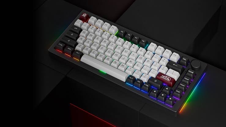 Akko 5075B Plus V2 Dracula Castle 75% Hot Swappable Mechanical Keyboard_img_3