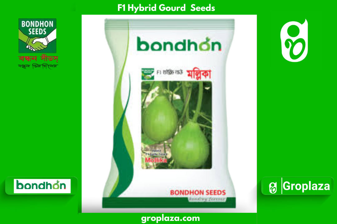 হাইব্রিড জাতের গোল লাউ বীজ মল্লিকা। F1 Hybrid Gourd Seeds Mollika_img_0