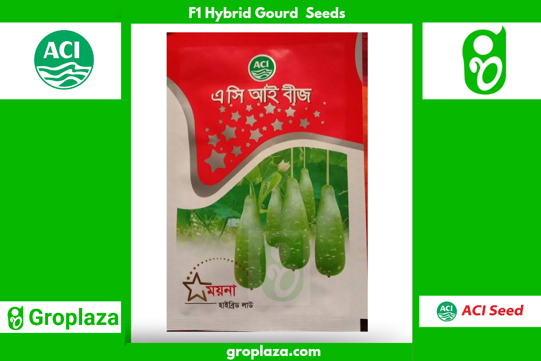 হাইব্রিড জাতের লাউ বীজ ময়না । F1 Hybrid Gourd Seeds Myna_img_0