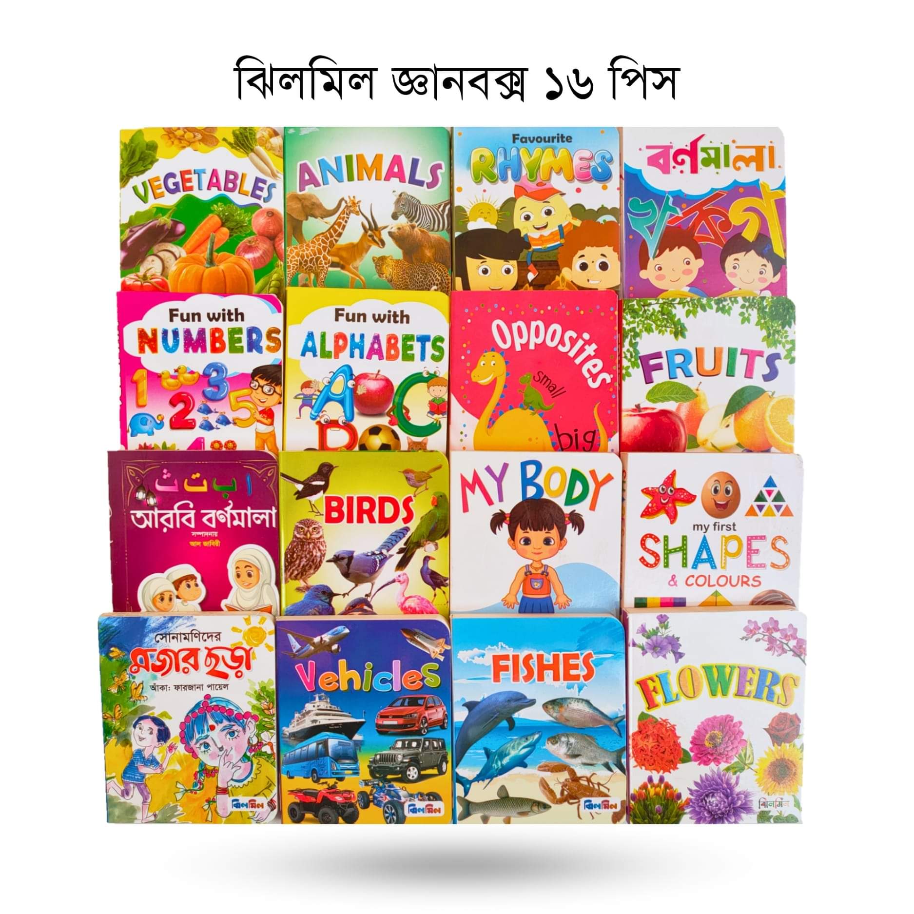 ঝিলমিল জ্ঞানবাক্স - ১ ( ১৬ পিস বই )