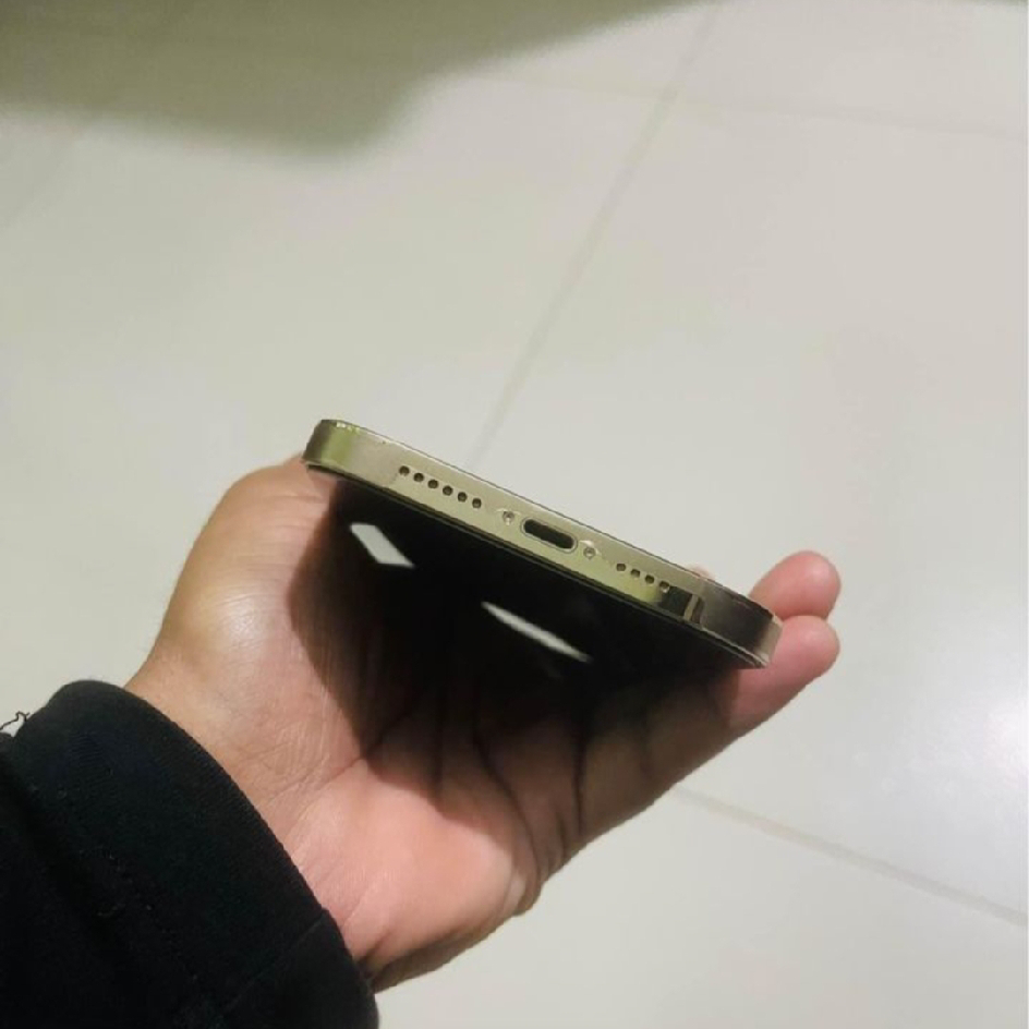 I PHON 12 PRO MAX (256GB)_img_2