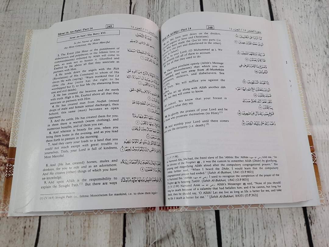 The Noble Quran_img_4